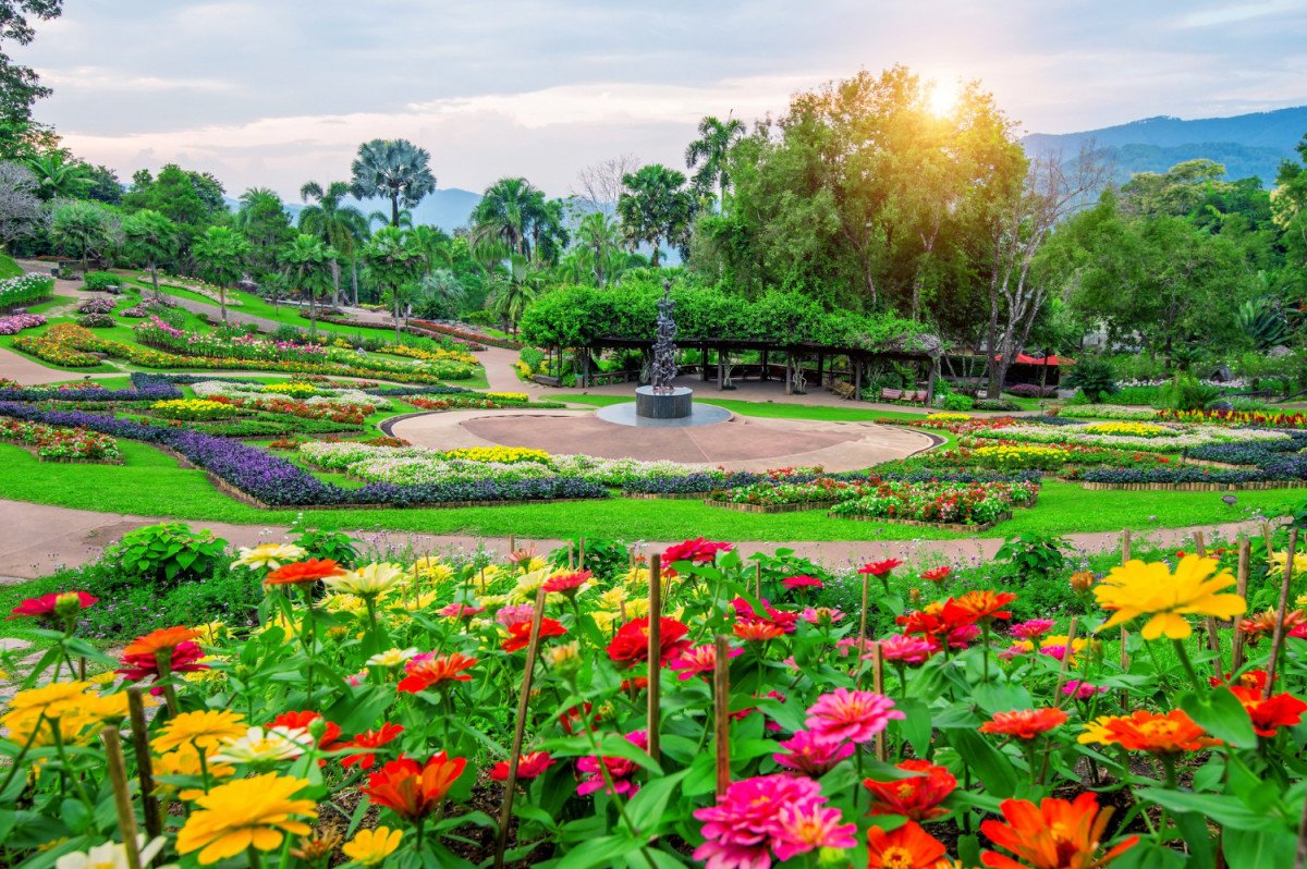 New Jersey Spring Gardens: A Guide to the Garden States Beauty