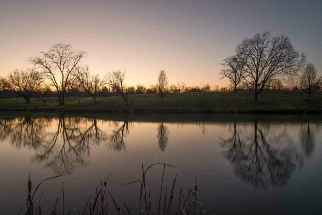 Bare trees silhouetted against a sunset and reflected in a calm lake in Villa Hills, Kentucky.